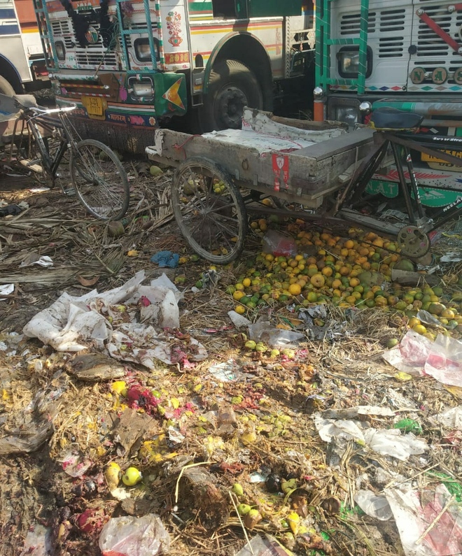 Amritsar: Dengue continues to wreak havoc at Vallah veggie market