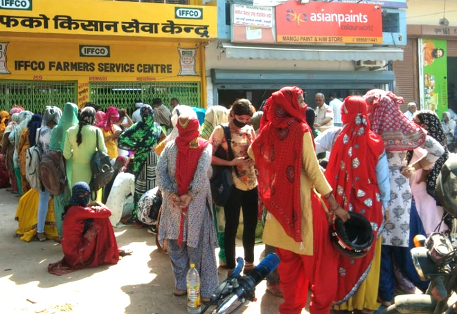 Women leave chores, students skip classes to get DAP fertiliser in Rewari, Gurugram