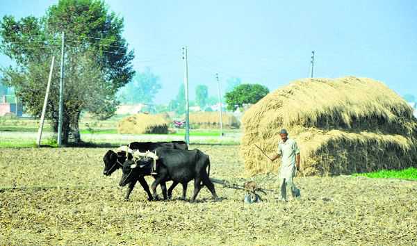 Haryana Govt extends last date of farm scheme