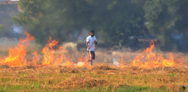With 350 farm fires, Karnal tops in air pollution