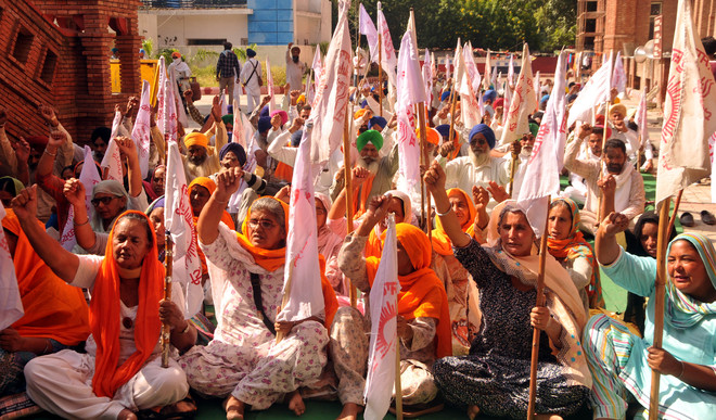 Remove Ajay Mishra from Cabinet, demand Amritsar farmers