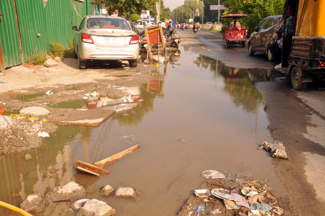 Dengue at its peak, Amritsar civic body still grapples with basic sanitation issues