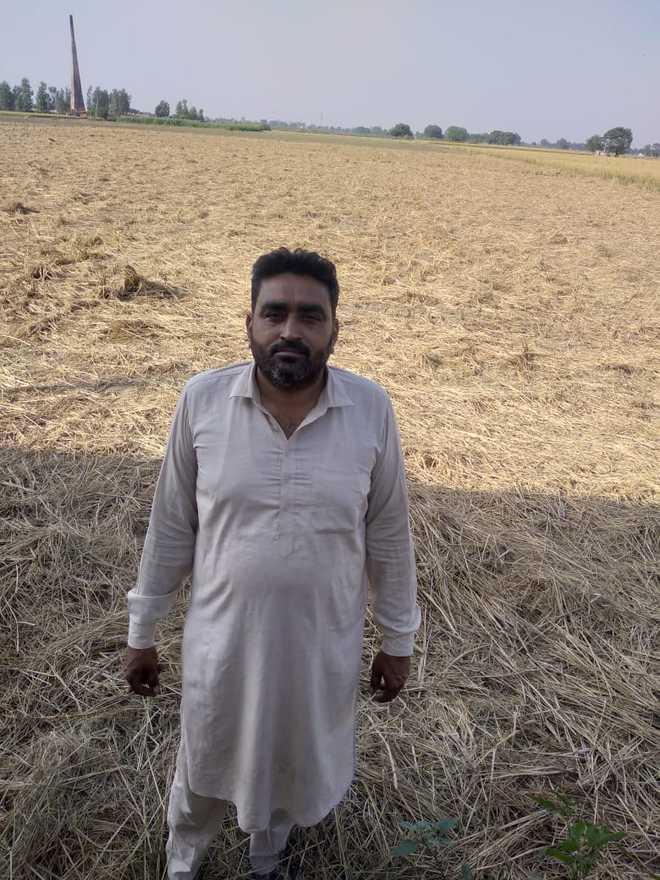 Farmer adopts in situ crop residue mgmt, inspires others