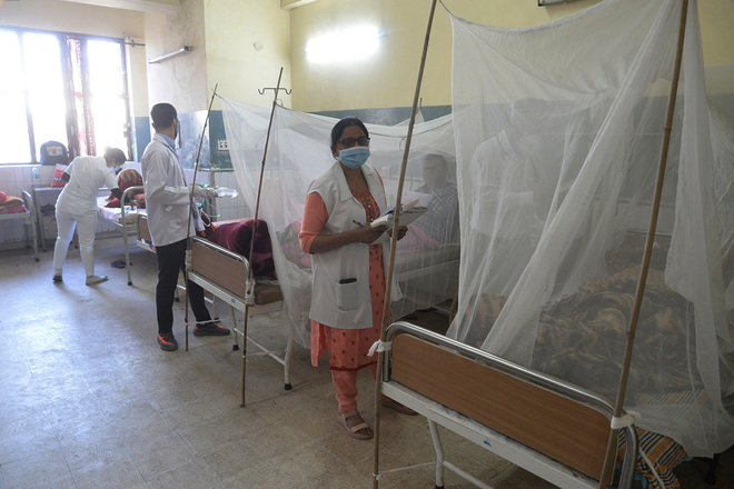 Dengue surge in Jalandhar: Platelet machine repair delayed by 3 months