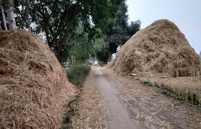 75K tonne straw for biomass plants