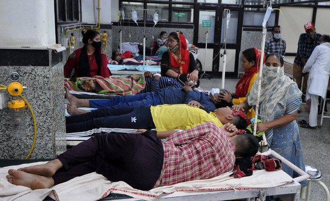Dengue claims two more lives in Mohali district, toll 14