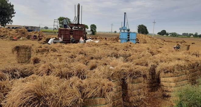 Karnal farmers putting paddy stubble to good use