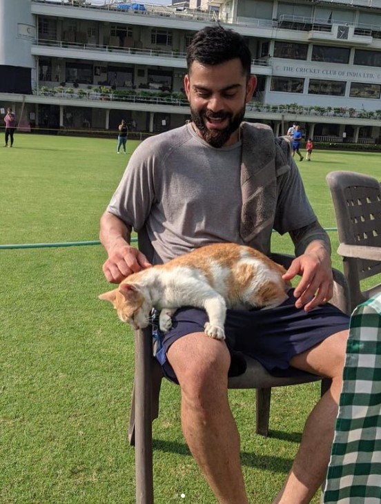 Virat Kohli meets a ‘cool’ cat at practice. Anushka Sharma has something to say