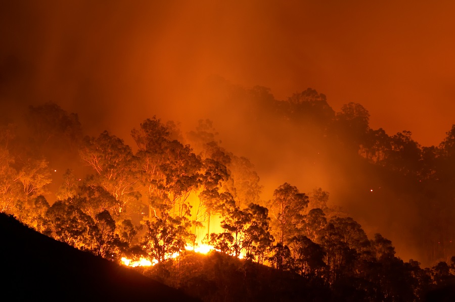 Climate change fuels Australian bushfires