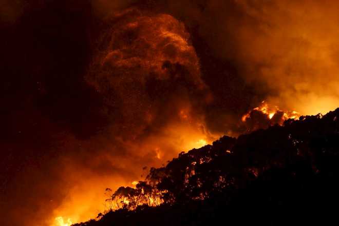 Climate change fuels Australian bushfires: Report