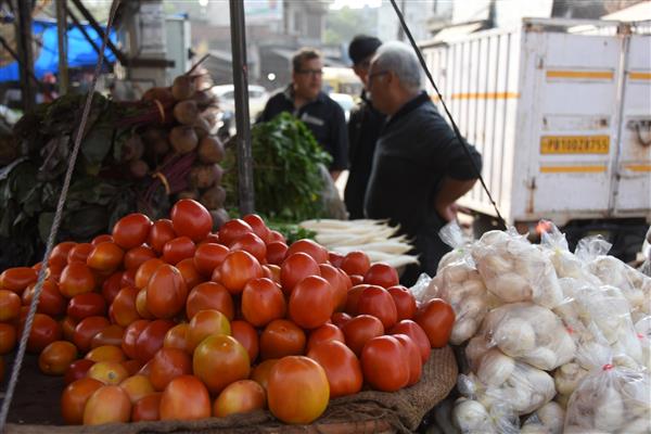 Rising tomato prices burn a hole in common man’s pocket