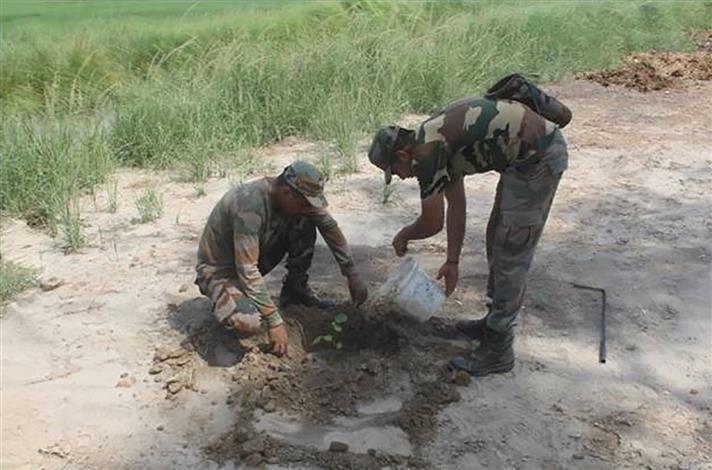 Vajra Corps  go green with plantation drive
