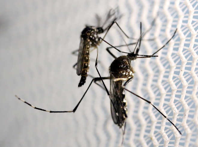 With 16 new Zika virus cases, Kanpur crosses 100-mark