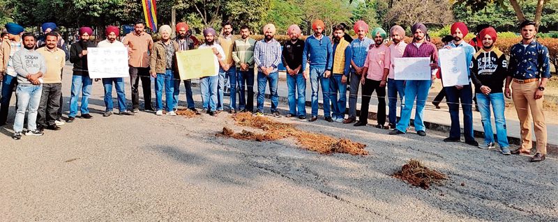 Students fill potholes in protest at Punjabi University, Patiala