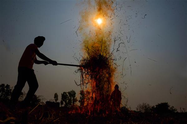 Centre agrees to farmers demand of decriminalising stubble burning; panel to discuss MSP and other issues