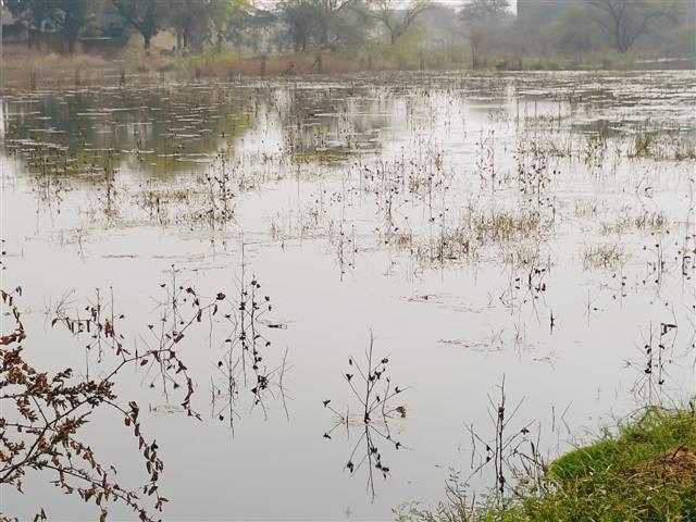 500 acres of land waterlogged in Palwal
