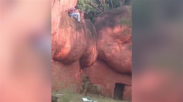 Viral video: Man walking on boulders along lion moat area in Hyderabad zoo rescued