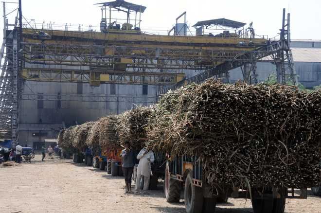 Phagwara mill owners told to pay cane dues