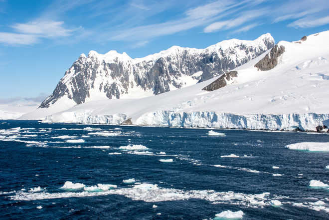 Antarctic bacteria live on air and make their own water using hydrogen as fuel