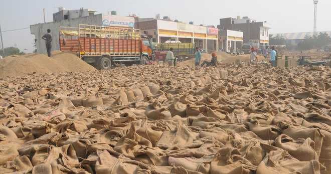 Over 2 lakh quintals paddy lifted in Himachal