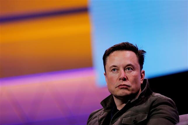 Tesla boss Elon Musk responds with vulgar tweet as US Senator Wyden flays Tesla stock poll