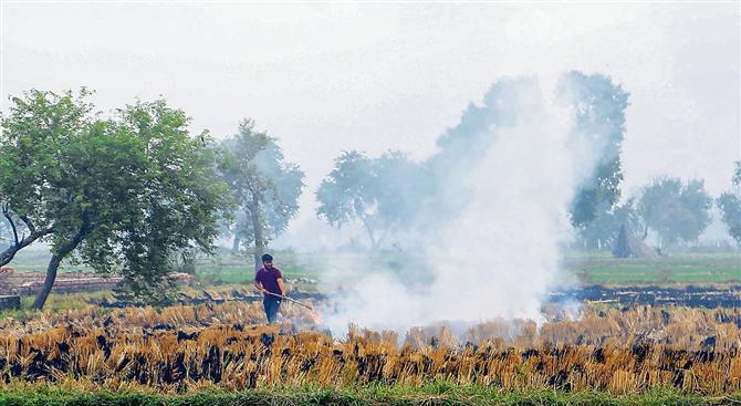 Promote simple solutions to curb farm fires