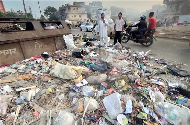 Chandigarh MC elections: Litter, dung bane of ward 5 residents
