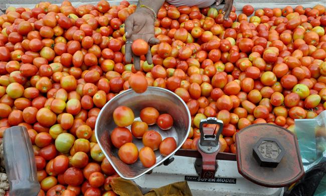 Tomato prices may soften from December with arrival of fresh crop from northern states: Centre