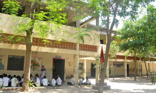 250 Ludhiana schools ready for NAS test today