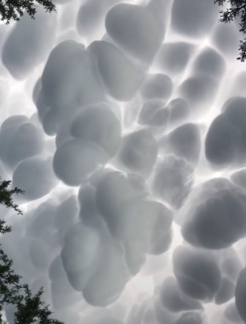 Rare cotton ball-like clouds spotted in Argentina are creating