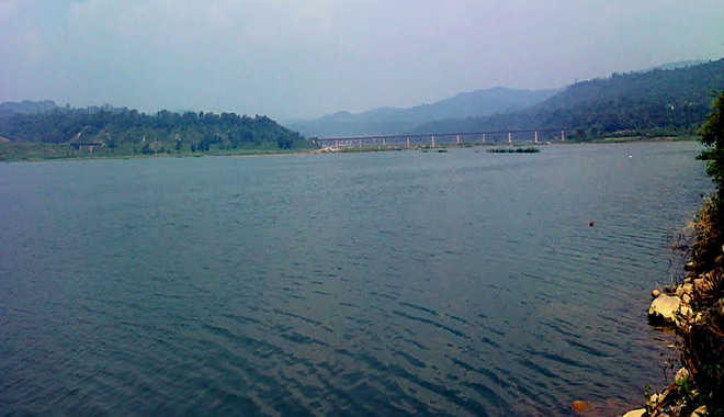 Pong Dam oustees in Himachal Pradesh without power, water for 55 years