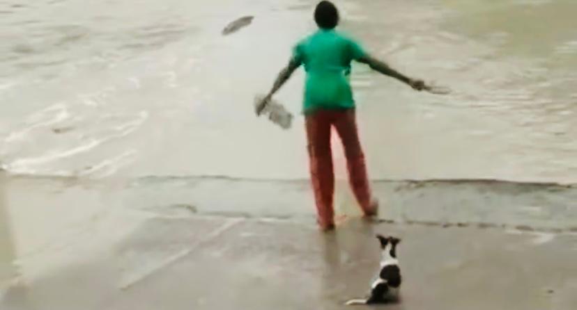 Woman uses her slipper to scare off crocodile approaching her in viral video