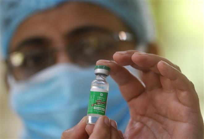 Govt allows Serum Institute to export 50 lakh Covishield doses under COVAX to 4 nations