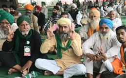 Victory for Punjab farmers comes at the cost of 669 lives