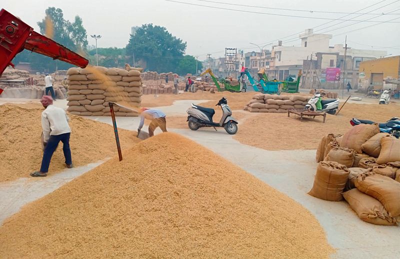 Despite opposition, no paddy purchase in Punjab from tomorrow