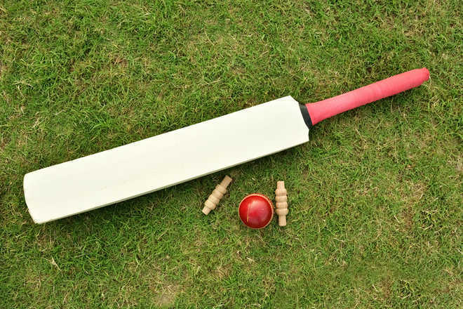 Chandigarh Cricket Association log win