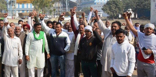 Karnal cane growers protest over mill running below capacity