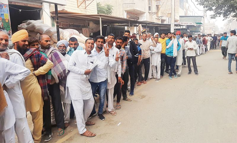 DAP shortage persists in Haryana, demand-supply gap a worry