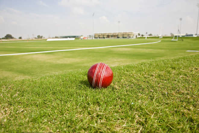 Cricket: Chandigarh girls’ poor run continues, lose to Tamil Nadu by 6 wickets