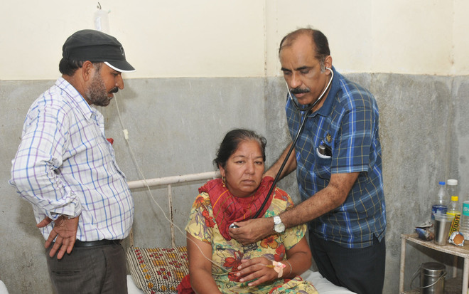 Karnal sees surge in dengue cases