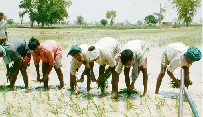 Done with sowing of wheat, farmers all set for Delhi now