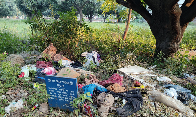 Garbage dumps common sight, parks ill-maintained in Chandigarh's ward 21