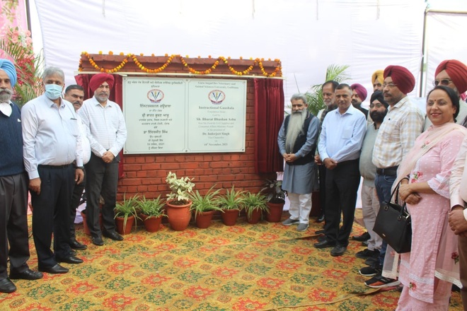 Minister Bharat Bhushan Ashu lays stone of instructional gaushala