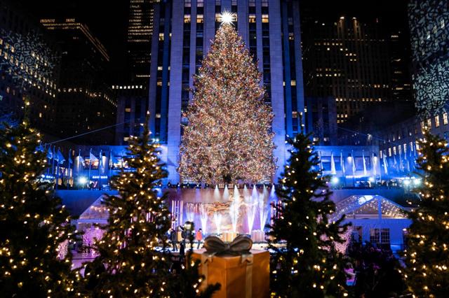 Christmas tree buyers in US face reduced supplies, higher prices