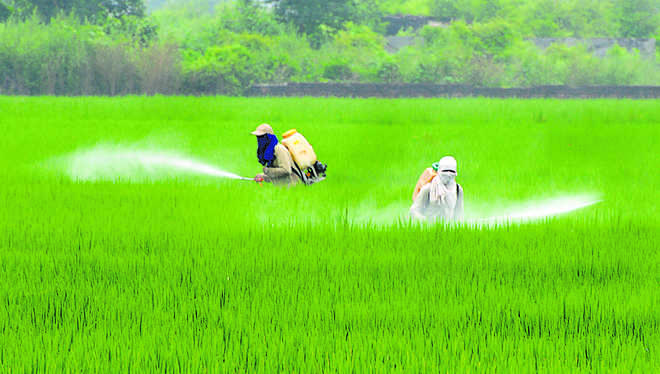 India can generate USD 813 billion in revenues from agri, food sector by 2030: Report