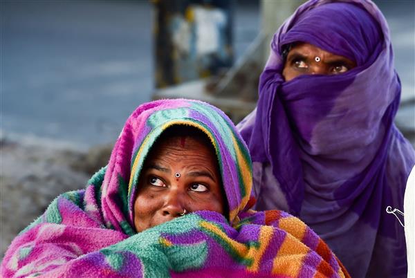 Biting cold sweeps Punjab, Haryana; Hisar shivers at 0.2 degrees Celsius