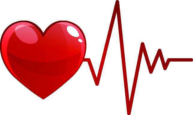 Heart harvested from PGIMER patient transplanted to Chennai man: officials