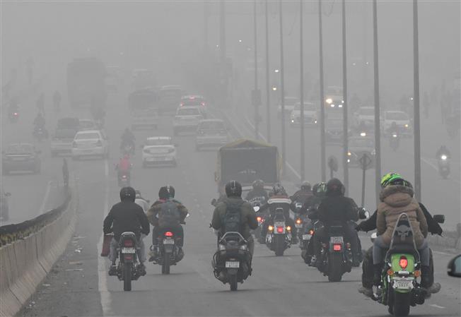 Chandigarh wakes up to season's first fog