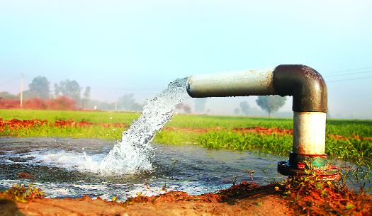 Groundwater depleting in 55 per cent Chandigarh tubewells