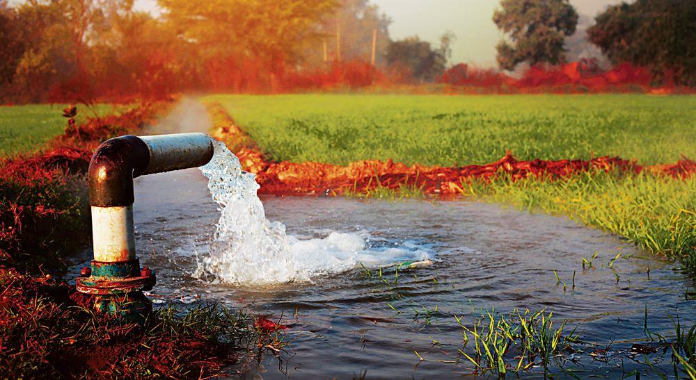 Groundwater pollution: Need to make food production eco-friendly